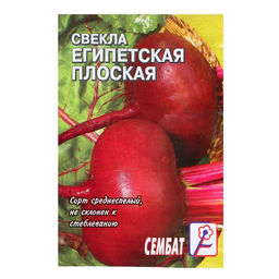 Цена за 5 шт. Семена Свекла "Египетская плоская", 2 г