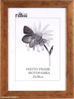 Фоторамка 21х30 / 404-1158-1 /уп10