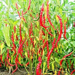 099c1322ada5207e3f3fb6e331012141cpy5kfd8kkljtdsod