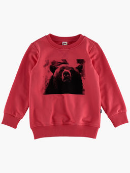 Комплект для девочки с брюками UD 2111 коралловый - Mini maxi фото 6