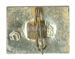 Значок ВДНХ СССР