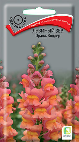 Львиный зев (Антирринум) Оранж Вондер (ЦВ ) (1) 0,1гр. - Поиск фото 2