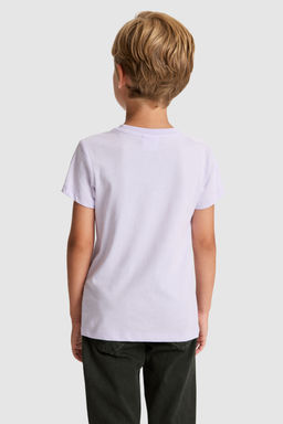 Erkek Гocuk Lila Bisiklet Yaka Basic TiЕГrt - U.s. polo assn фото 5