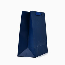 Пакет ламинированный For the best man, ML 23?27?11.5 см