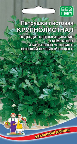 Петрушка листовая КРУПНОЛИСТНАЯ Подходит для выращивания в комнатных и балконных условиях! Высокий лечебный эффект!