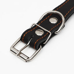 Ошейник кожаный на синтепоне Ёж, 64 х 3 см, ОШ 40-55 см, чёрный - Пижон фото 4