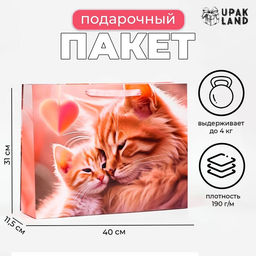Пакет ламинированный горизонтальный Котики, 40?31?11.5 см