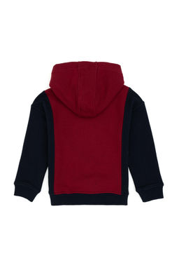 Erkek _ocuk Bordo Kap__onlu Sweatshirt - U.s. polo assn фото 2