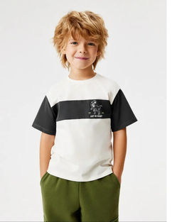 20120510246, Футболка детская для мальчиков Lismore серо-белый
