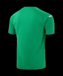 Футболка тренировочная JOGEL CAMP 2 Training Poly Tee, зеленый/белый  фото 3