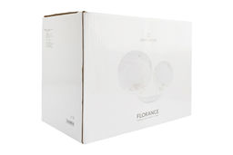 Сервиз обеденный, 6 перс, 18 пр, фарфор P, белый, Цветы и листья, Florance