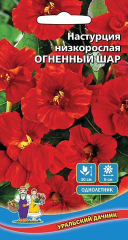 Настурция ОГНЕННЫЙ ШАР