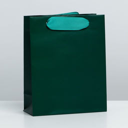 Пакет ламинированный Изумрудный, S 12 15 5,5 см