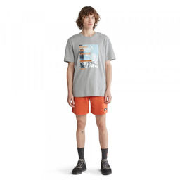 Мужская футболка Timberland SS NNH Front Graphic Tee Regular серая  фото 3