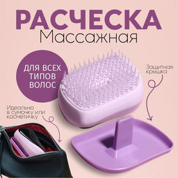 Цена за 2 шт. Расчёска массажная, с крышкой, 5 × 9 см, PVC-коробка, цвет МИКС