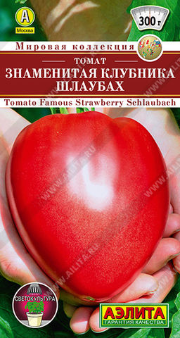 Томат Знаменитая клубника Шлаубах