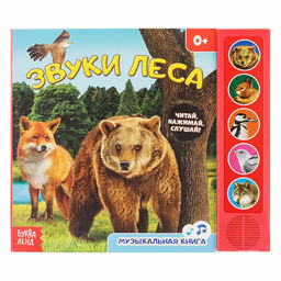 Музыкальная книга Звуки леса, 10 стр.