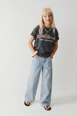 CAMISETA EFECTO LAVADO ZOOTR?POLIS  DISNEY / Gris antracita