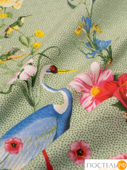 КПБ DOME ФЛОРЕС  фото 8