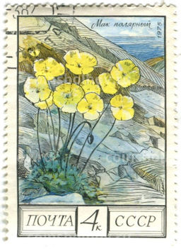 Марка Мак Полярный 1975 год