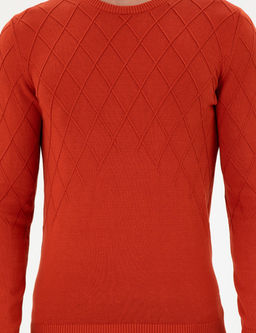 Erkek Slim Fit Bisiklet Yaka Kiremit Kazak