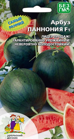 Арбуз ПАНОННИЯ F1  Невероятно холодостойкий! Для начинающих садоводов!