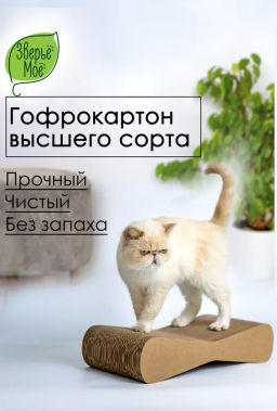 0aa96faacec3de0353b1bfae4f591bd87xbasst6m5m5r60cv0