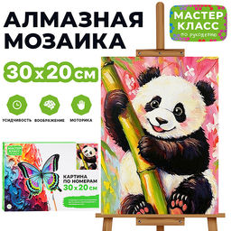 Картина по номерам MKR3020-137 "Весёлая панда" 30х20 см.