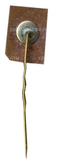 Значок Лимбажи