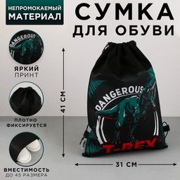 Сумка для обуви T-REX, нетканное полотно, размер 41х31 см