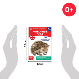 Книги набор Карточки Домана на английском языке, 8 шт. по 24 стр. - Буква-ленд фото 4