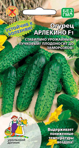 Огурец АРЛЕКИНО F1 Устойчив к болезням! Стабильно высокая урожайность! Плодоносит до заморозков! Не горчит!