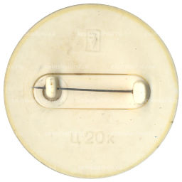 Значок Медведь с книгой