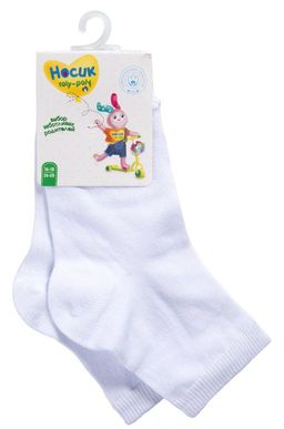 Цена за 2 шт. Носки Борисоглебский Трикотаж