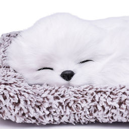 Набор питомец "Забавный пушистик" в пакете