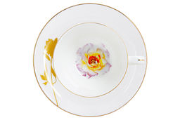 Сервиз чайный Flowers, Мак, 6 персон, 14 предметов - Anna lafarg emily фото 16