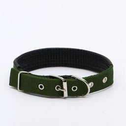 Ошейник Комфорт комбинированный, 55 х 2,5 см, ОШ 40-50 см, зелёный - Пижон фото 2