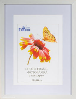 Рамка для оформления вышивки 30х40 с паспарту 8098 / ZR208B-19 /окно 21х30 ф - Галеонтрейд фото 2