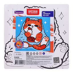 Картина по номерам "Кот с печеньем" 20х20см