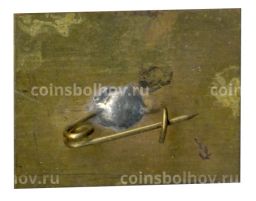 Значок Кисловодск