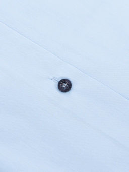 Сорочка мужская длинный рукав GREG 220/239/4030/Z/1p_V