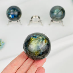 Шар из Лабрадора на подставке