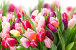 Блюдо овальное глубокое 23 см / S441209 HH326 GREY /уп 6/36/ цветная коробка