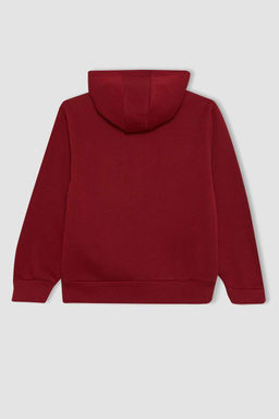 Толстая толстовка с капюшоном и принтом для мальчиков - Defacto фото 8