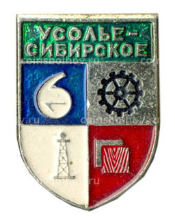 Значок Усолье Сибирское