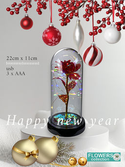 Подарок колба светящаяся Розы