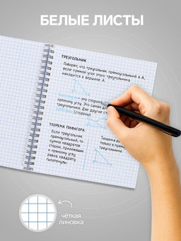 Цена за 3 шт. Тетрадь 48 листов в клетку, на гребне, Фразы на чёрном, МИКС
