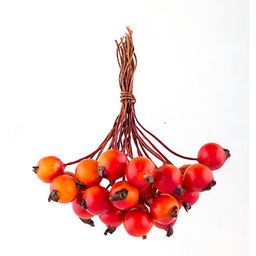 Mr.Painter PFF-04 Декоративные элементы Ягоды 6 х 24 шт