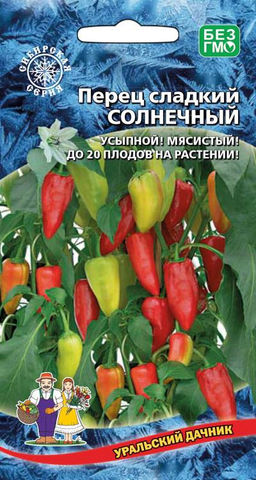 Перец СОЛНЕЧНЫЙ  Усыпан плодами! До 20 плодов на растении!