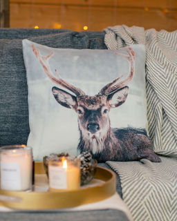 Декоративная наволочка ANG016